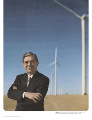 xcel energy ar 03 narrative