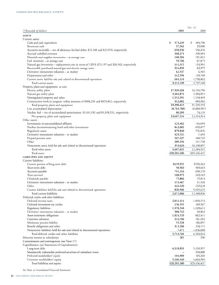 xcel energy ar 03 financials