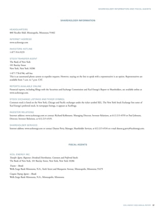 xcel energy ar 03 financials