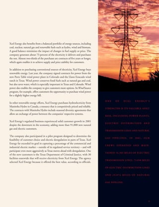 xcel energy 03/15/02/Annual/narrative