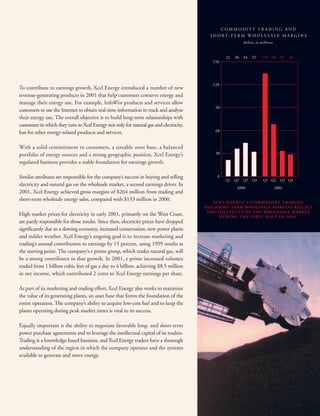 xcel energy 03/15/02/Annual/narrative