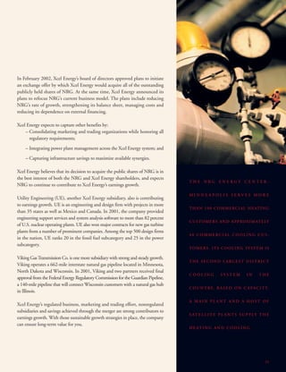 xcel energy 03/15/02/Annual/narrative