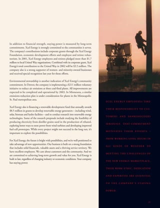 xcel energy 03/15/02/Annual/narrative