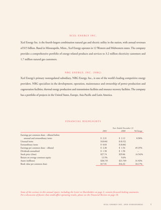 xcel energy 03/15/02/Annual/narrative