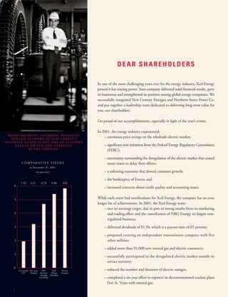 xcel energy 03/15/02/Annual/narrative