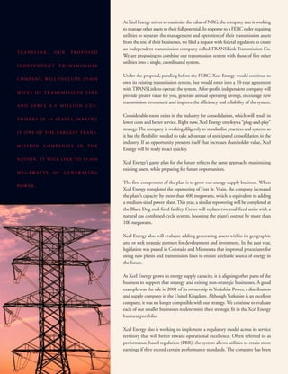 xcel energy 03/15/02/Annual/narrative