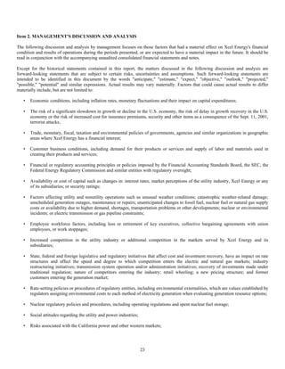 xcel energy 10q_2q04