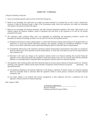 xcel energy 10q_2q04