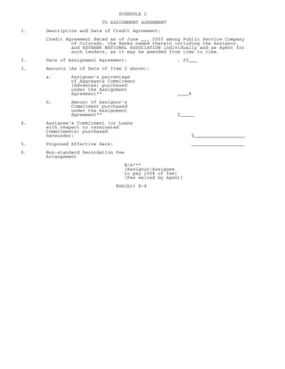 xcel energy 10q 2q03_util