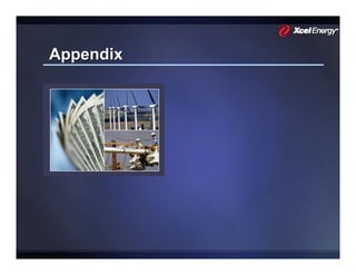 xcel energy  RBC_July_2008