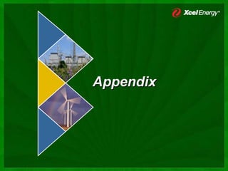 xcel energy  3_19_2007MidwestInvMtgsSECMarch2007