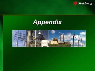 xcel energy 12_6XcelUtilityWeekSECwAppendix12062006