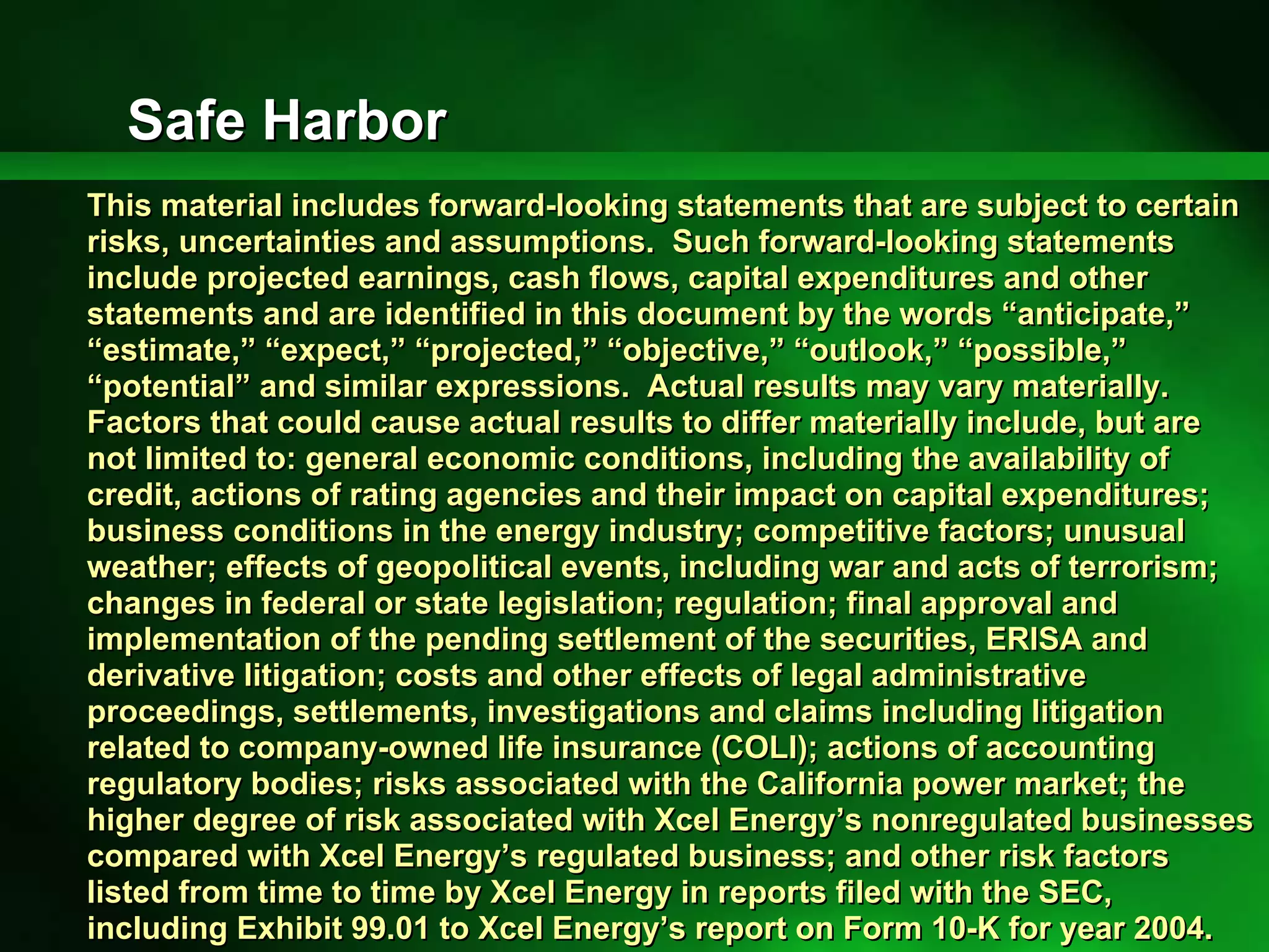 xcel energy Appendix