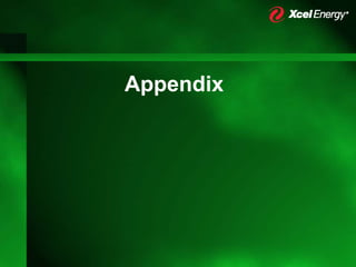 xcel energy Appendix | PDF