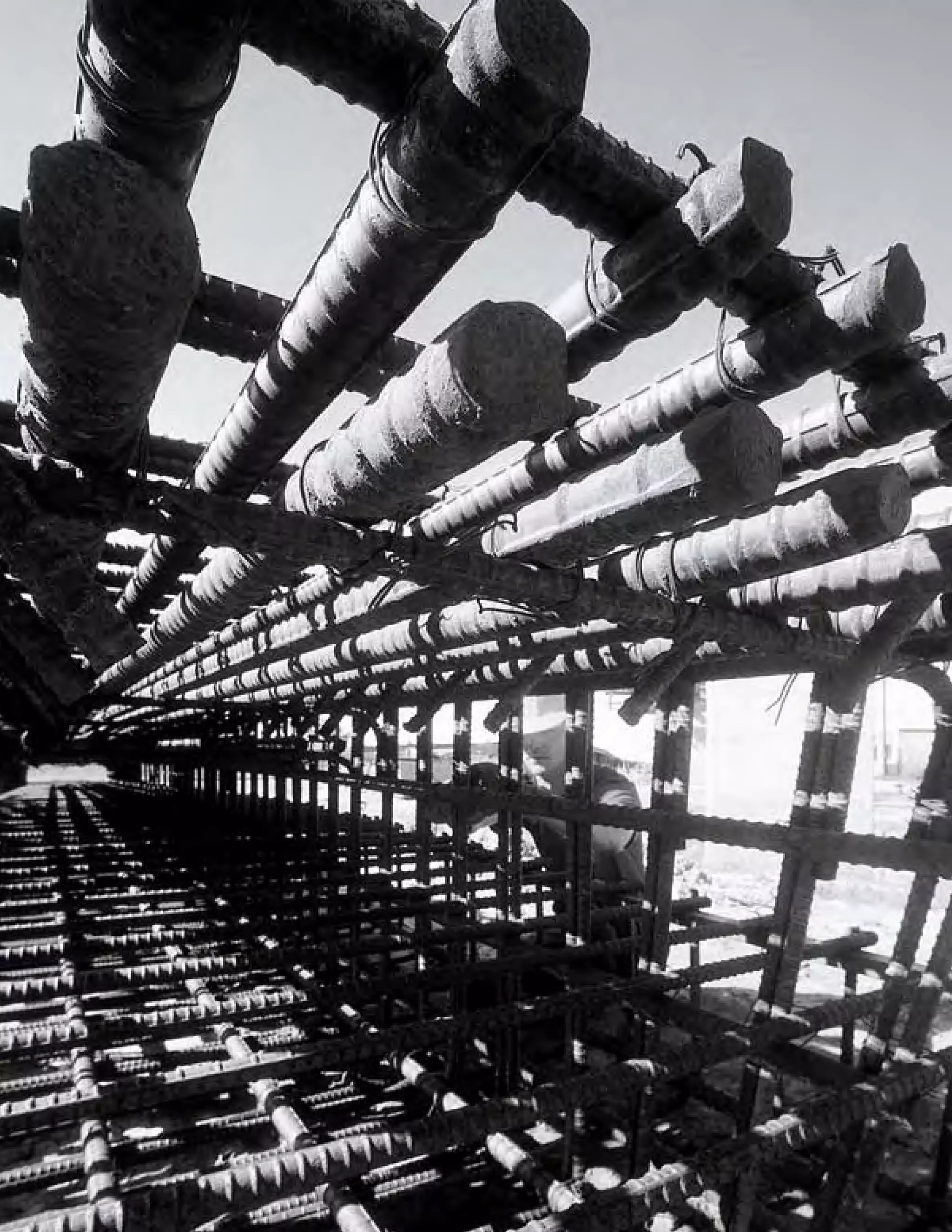 commercial metals E12CEF05-1876-41A8-9560-0FADE6D607D9_2008_AR