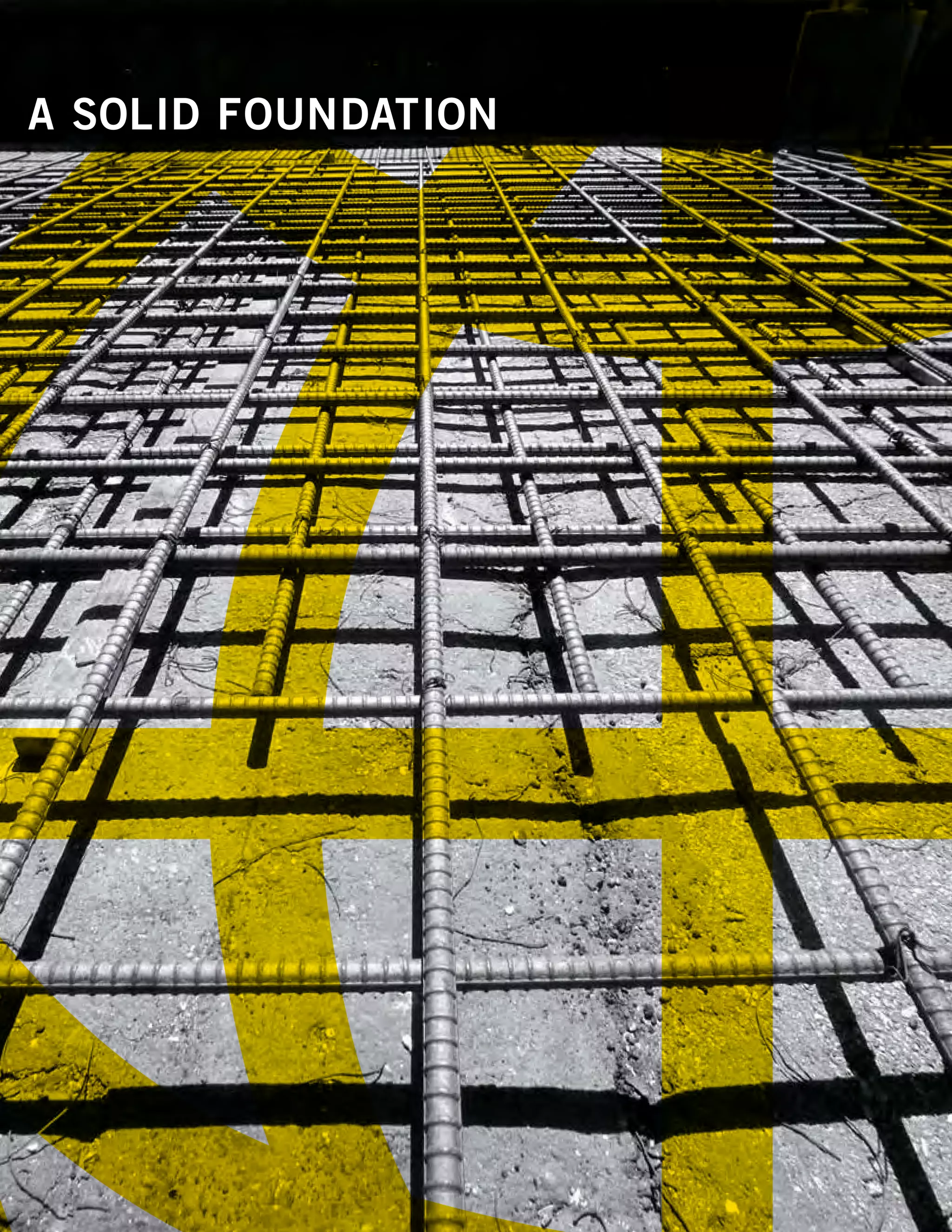 commercial metals E12CEF05-1876-41A8-9560-0FADE6D607D9_2008_AR