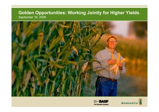 Golden Opportunities: Working Jointly for Higher Yields
September 16, 2008
 