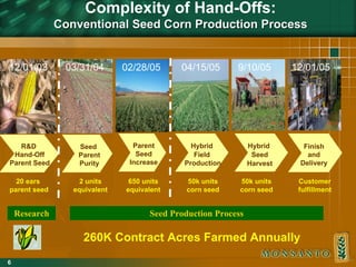 monsanto 08-23-05c | PDF