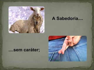 A Sabedoria.... ....sem caráter; 