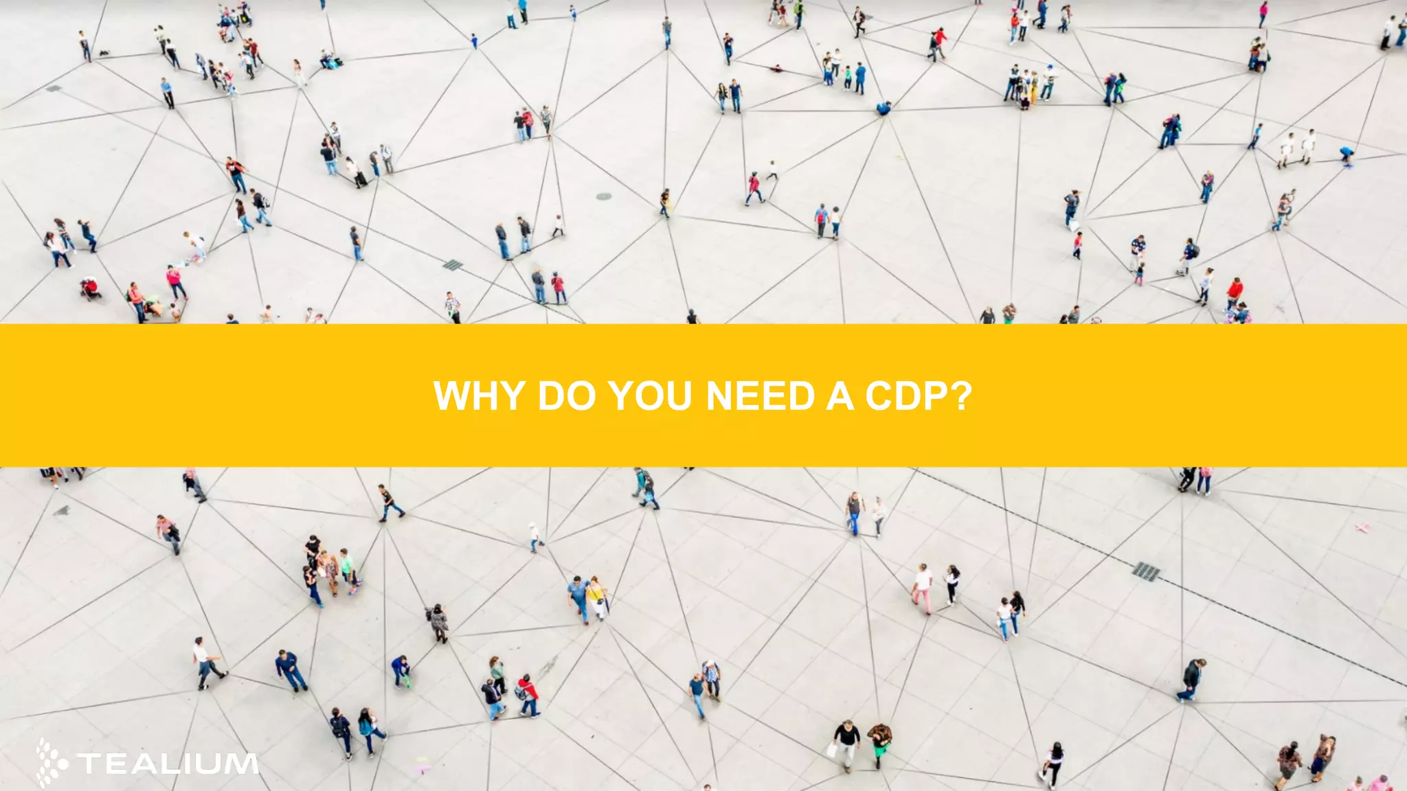 WHY DO YOU NEED A CDP?
 