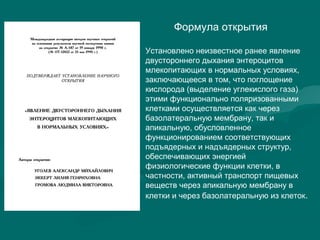 Установлено неизвестное ранее явление
двустороннего дыхания энтероцитов
млекопитающих в нормальных условиях,
заключающееся в том, что поглощение
кислорода (выделение углекислого газа)
этими функционально поляризованными
клетками осуществляется как через
базолатеральную мембрану, так и
апикальную, обусловленное
функционированием соответствующих
подъядерных и надъядерных структур,
обеспечивающих энергией
физиологические функции клетки, в
частности, активный транспорт пищевых
веществ через апикальную мембрану в
клетки и через базолатеральную из клеток.
Формула открытия
 