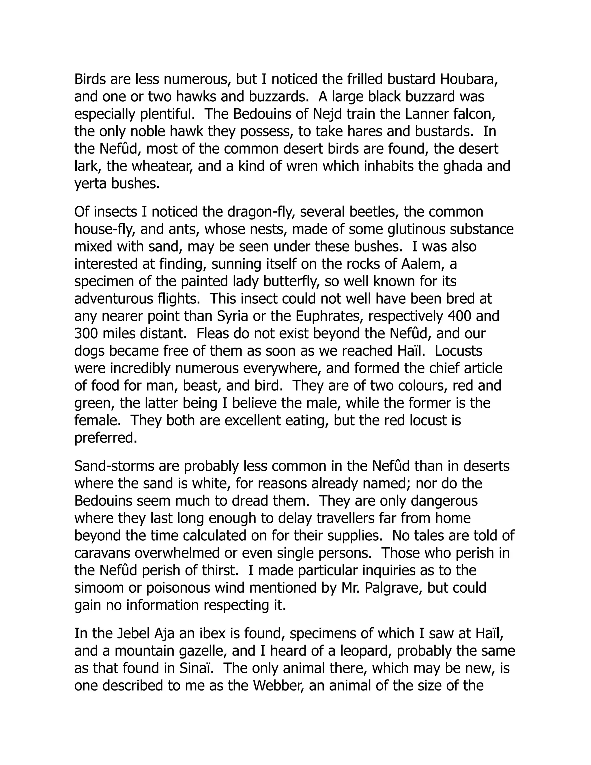 Birds are less numerous, but I noticed the frilled bustard Houbara,
and one or two hawks and buzzards. A large black buzzard was
especially plentiful. The Bedouins of Nejd train the Lanner falcon,
the only noble hawk they possess, to take hares and bustards. In
the Nefûd, most of the common desert birds are found, the desert
lark, the wheatear, and a kind of wren which inhabits the ghada and
yerta bushes.
Of insects I noticed the dragon-fly, several beetles, the common
house-fly, and ants, whose nests, made of some glutinous substance
mixed with sand, may be seen under these bushes. I was also
interested at finding, sunning itself on the rocks of Aalem, a
specimen of the painted lady butterfly, so well known for its
adventurous flights. This insect could not well have been bred at
any nearer point than Syria or the Euphrates, respectively 400 and
300 miles distant. Fleas do not exist beyond the Nefûd, and our
dogs became free of them as soon as we reached Haïl. Locusts
were incredibly numerous everywhere, and formed the chief article
of food for man, beast, and bird. They are of two colours, red and
green, the latter being I believe the male, while the former is the
female. They both are excellent eating, but the red locust is
preferred.
Sand-storms are probably less common in the Nefûd than in deserts
where the sand is white, for reasons already named; nor do the
Bedouins seem much to dread them. They are only dangerous
where they last long enough to delay travellers far from home
beyond the time calculated on for their supplies. No tales are told of
caravans overwhelmed or even single persons. Those who perish in
the Nefûd perish of thirst. I made particular inquiries as to the
simoom or poisonous wind mentioned by Mr. Palgrave, but could
gain no information respecting it.
In the Jebel Aja an ibex is found, specimens of which I saw at Haïl,
and a mountain gazelle, and I heard of a leopard, probably the same
as that found in Sinaï. The only animal there, which may be new, is
one described to me as the Webber, an animal of the size of the
 