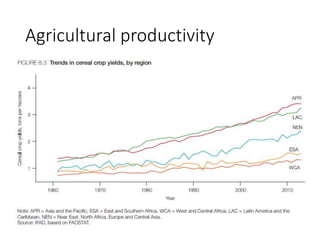 Agricultural productivity
 