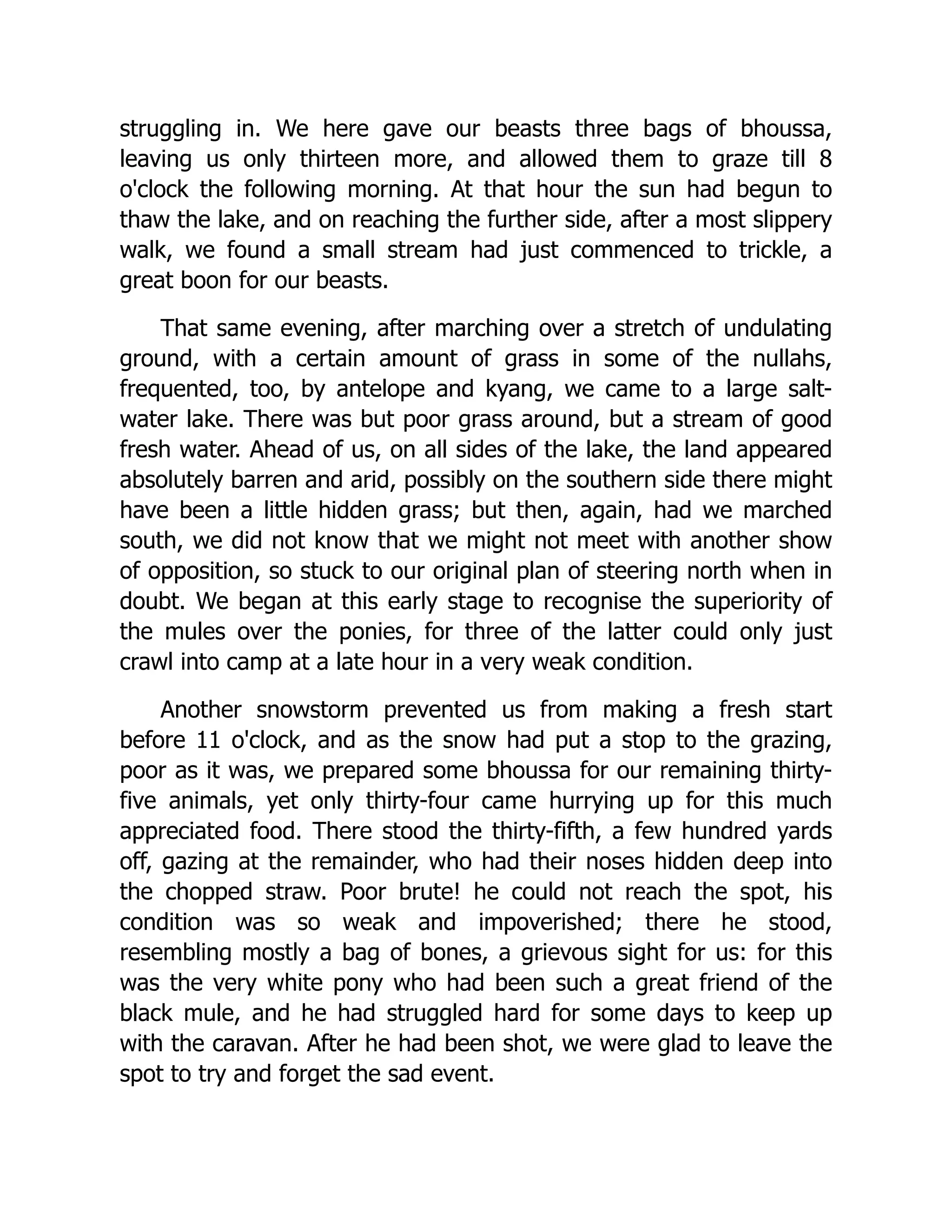 struggling in. We here gave our beasts three bags of bhoussa,
leaving us only thirteen more, and allowed them to graze till 8
o'clock the following morning. At that hour the sun had begun to
thaw the lake, and on reaching the further side, after a most slippery
walk, we found a small stream had just commenced to trickle, a
great boon for our beasts.
That same evening, after marching over a stretch of undulating
ground, with a certain amount of grass in some of the nullahs,
frequented, too, by antelope and kyang, we came to a large salt-
water lake. There was but poor grass around, but a stream of good
fresh water. Ahead of us, on all sides of the lake, the land appeared
absolutely barren and arid, possibly on the southern side there might
have been a little hidden grass; but then, again, had we marched
south, we did not know that we might not meet with another show
of opposition, so stuck to our original plan of steering north when in
doubt. We began at this early stage to recognise the superiority of
the mules over the ponies, for three of the latter could only just
crawl into camp at a late hour in a very weak condition.
Another snowstorm prevented us from making a fresh start
before 11 o'clock, and as the snow had put a stop to the grazing,
poor as it was, we prepared some bhoussa for our remaining thirty-
five animals, yet only thirty-four came hurrying up for this much
appreciated food. There stood the thirty-fifth, a few hundred yards
off, gazing at the remainder, who had their noses hidden deep into
the chopped straw. Poor brute! he could not reach the spot, his
condition was so weak and impoverished; there he stood,
resembling mostly a bag of bones, a grievous sight for us: for this
was the very white pony who had been such a great friend of the
black mule, and he had struggled hard for some days to keep up
with the caravan. After he had been shot, we were glad to leave the
spot to try and forget the sad event.
 