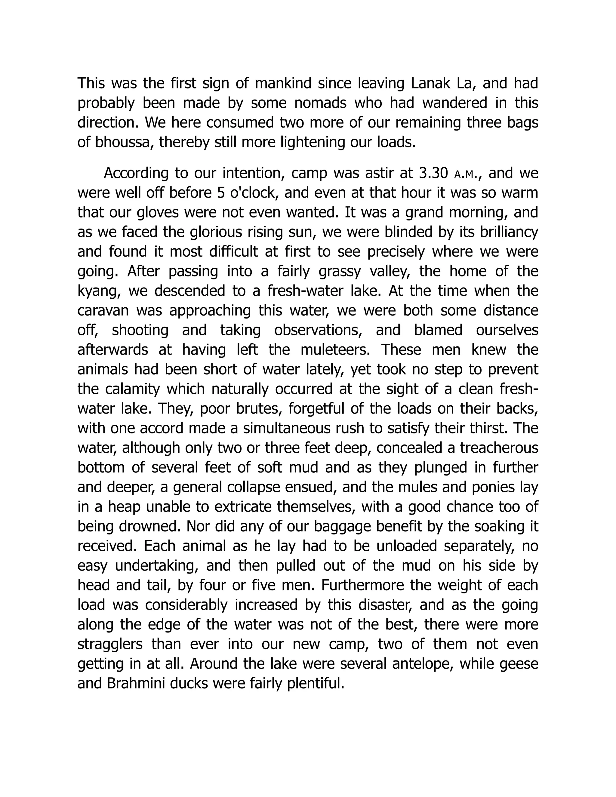 This was the first sign of mankind since leaving Lanak La, and had
probably been made by some nomads who had wandered in this
direction. We here consumed two more of our remaining three bags
of bhoussa, thereby still more lightening our loads.
According to our intention, camp was astir at 3.30 a.m., and we
were well off before 5 o'clock, and even at that hour it was so warm
that our gloves were not even wanted. It was a grand morning, and
as we faced the glorious rising sun, we were blinded by its brilliancy
and found it most difficult at first to see precisely where we were
going. After passing into a fairly grassy valley, the home of the
kyang, we descended to a fresh-water lake. At the time when the
caravan was approaching this water, we were both some distance
off, shooting and taking observations, and blamed ourselves
afterwards at having left the muleteers. These men knew the
animals had been short of water lately, yet took no step to prevent
the calamity which naturally occurred at the sight of a clean fresh-
water lake. They, poor brutes, forgetful of the loads on their backs,
with one accord made a simultaneous rush to satisfy their thirst. The
water, although only two or three feet deep, concealed a treacherous
bottom of several feet of soft mud and as they plunged in further
and deeper, a general collapse ensued, and the mules and ponies lay
in a heap unable to extricate themselves, with a good chance too of
being drowned. Nor did any of our baggage benefit by the soaking it
received. Each animal as he lay had to be unloaded separately, no
easy undertaking, and then pulled out of the mud on his side by
head and tail, by four or five men. Furthermore the weight of each
load was considerably increased by this disaster, and as the going
along the edge of the water was not of the best, there were more
stragglers than ever into our new camp, two of them not even
getting in at all. Around the lake were several antelope, while geese
and Brahmini ducks were fairly plentiful.
 