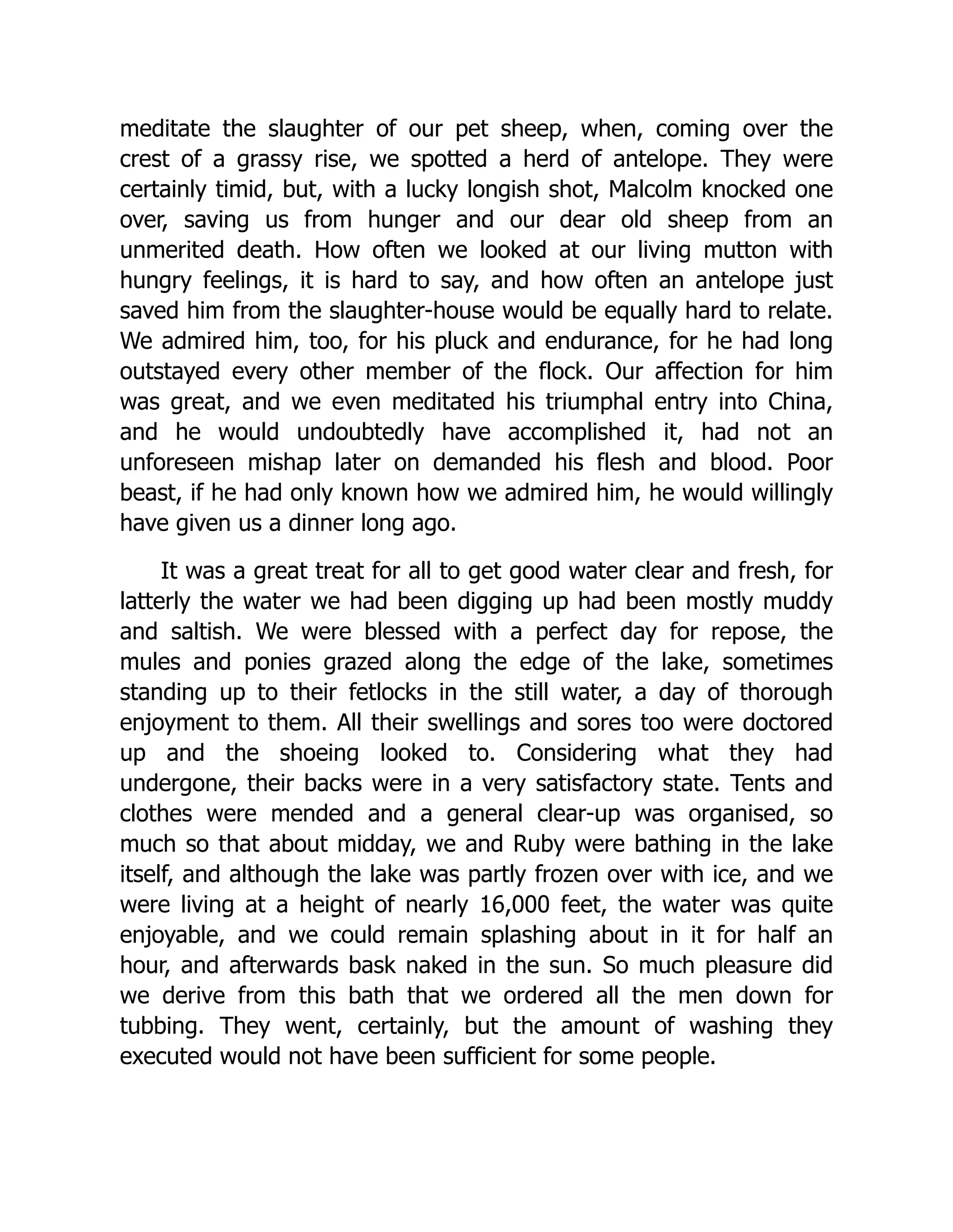 meditate the slaughter of our pet sheep, when, coming over the
crest of a grassy rise, we spotted a herd of antelope. They were
certainly timid, but, with a lucky longish shot, Malcolm knocked one
over, saving us from hunger and our dear old sheep from an
unmerited death. How often we looked at our living mutton with
hungry feelings, it is hard to say, and how often an antelope just
saved him from the slaughter-house would be equally hard to relate.
We admired him, too, for his pluck and endurance, for he had long
outstayed every other member of the flock. Our affection for him
was great, and we even meditated his triumphal entry into China,
and he would undoubtedly have accomplished it, had not an
unforeseen mishap later on demanded his flesh and blood. Poor
beast, if he had only known how we admired him, he would willingly
have given us a dinner long ago.
It was a great treat for all to get good water clear and fresh, for
latterly the water we had been digging up had been mostly muddy
and saltish. We were blessed with a perfect day for repose, the
mules and ponies grazed along the edge of the lake, sometimes
standing up to their fetlocks in the still water, a day of thorough
enjoyment to them. All their swellings and sores too were doctored
up and the shoeing looked to. Considering what they had
undergone, their backs were in a very satisfactory state. Tents and
clothes were mended and a general clear-up was organised, so
much so that about midday, we and Ruby were bathing in the lake
itself, and although the lake was partly frozen over with ice, and we
were living at a height of nearly 16,000 feet, the water was quite
enjoyable, and we could remain splashing about in it for half an
hour, and afterwards bask naked in the sun. So much pleasure did
we derive from this bath that we ordered all the men down for
tubbing. They went, certainly, but the amount of washing they
executed would not have been sufficient for some people.
 