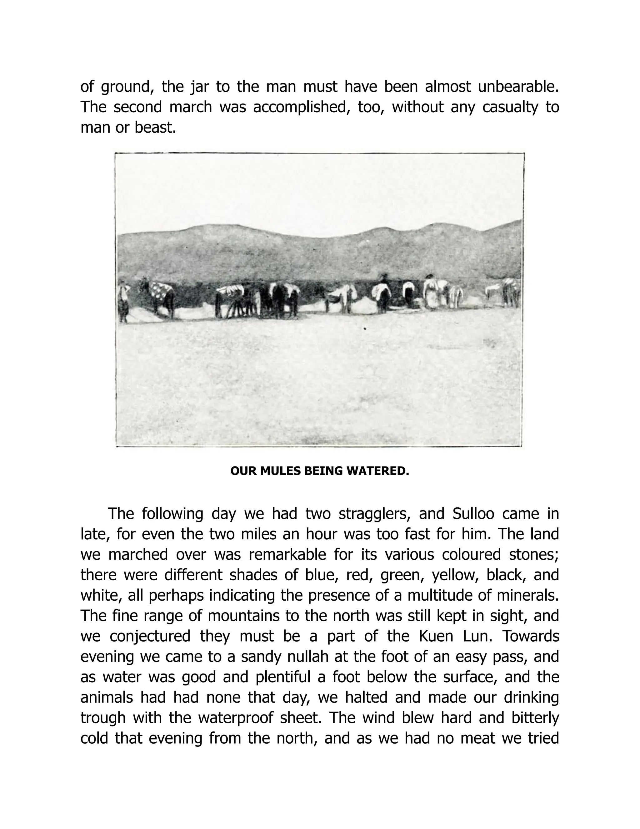 of ground, the jar to the man must have been almost unbearable.
The second march was accomplished, too, without any casualty to
man or beast.
OUR MULES BEING WATERED.
The following day we had two stragglers, and Sulloo came in
late, for even the two miles an hour was too fast for him. The land
we marched over was remarkable for its various coloured stones;
there were different shades of blue, red, green, yellow, black, and
white, all perhaps indicating the presence of a multitude of minerals.
The fine range of mountains to the north was still kept in sight, and
we conjectured they must be a part of the Kuen Lun. Towards
evening we came to a sandy nullah at the foot of an easy pass, and
as water was good and plentiful a foot below the surface, and the
animals had had none that day, we halted and made our drinking
trough with the waterproof sheet. The wind blew hard and bitterly
cold that evening from the north, and as we had no meat we tried
 