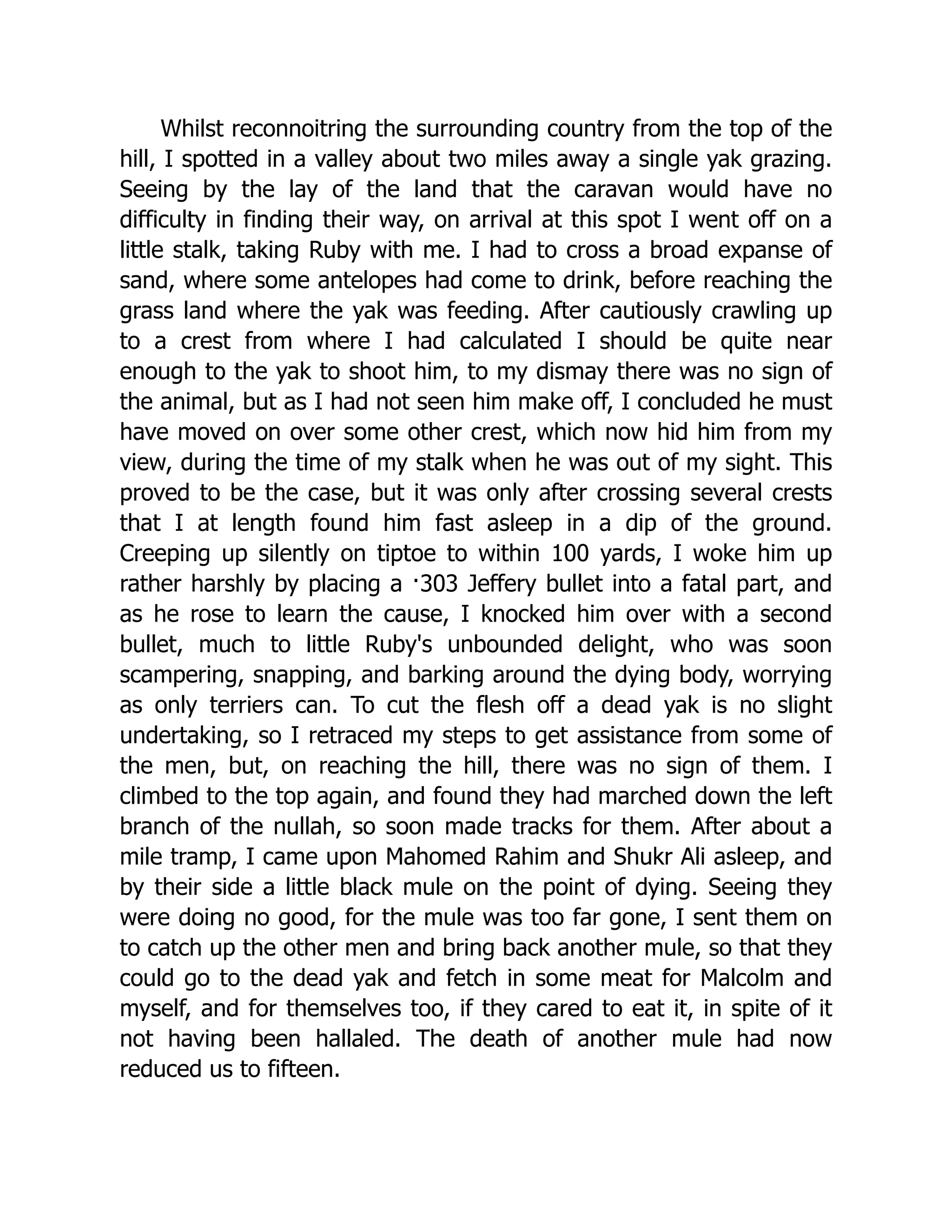 Whilst reconnoitring the surrounding country from the top of the
hill, I spotted in a valley about two miles away a single yak grazing.
Seeing by the lay of the land that the caravan would have no
difficulty in finding their way, on arrival at this spot I went off on a
little stalk, taking Ruby with me. I had to cross a broad expanse of
sand, where some antelopes had come to drink, before reaching the
grass land where the yak was feeding. After cautiously crawling up
to a crest from where I had calculated I should be quite near
enough to the yak to shoot him, to my dismay there was no sign of
the animal, but as I had not seen him make off, I concluded he must
have moved on over some other crest, which now hid him from my
view, during the time of my stalk when he was out of my sight. This
proved to be the case, but it was only after crossing several crests
that I at length found him fast asleep in a dip of the ground.
Creeping up silently on tiptoe to within 100 yards, I woke him up
rather harshly by placing a ·303 Jeffery bullet into a fatal part, and
as he rose to learn the cause, I knocked him over with a second
bullet, much to little Ruby's unbounded delight, who was soon
scampering, snapping, and barking around the dying body, worrying
as only terriers can. To cut the flesh off a dead yak is no slight
undertaking, so I retraced my steps to get assistance from some of
the men, but, on reaching the hill, there was no sign of them. I
climbed to the top again, and found they had marched down the left
branch of the nullah, so soon made tracks for them. After about a
mile tramp, I came upon Mahomed Rahim and Shukr Ali asleep, and
by their side a little black mule on the point of dying. Seeing they
were doing no good, for the mule was too far gone, I sent them on
to catch up the other men and bring back another mule, so that they
could go to the dead yak and fetch in some meat for Malcolm and
myself, and for themselves too, if they cared to eat it, in spite of it
not having been hallaled. The death of another mule had now
reduced us to fifteen.
 