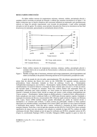 FLORESTA, Curitiba, PR, v. 38, n. 2, abr./jun. 2008.
Lopes, J. C. et al.
333
RESULTADOS E DISCUSSÃO
Os dados médios mensais de temperaturas máximas, mínimas, médias, precipitação pluvial e
umidade relativa ocorridas no período de floração e colheita das sementes encontram-se na figura 1. Os
dados evidenciam que os fatores climáticos não exerceram influência na maturação, pois permaneceram
estáveis ao longo do período experimental, com exceção da precipitação, a qual sofreu acentuada
elevação no mês de agosto. No entanto, nesse período, boa parte dos frutos já se encontrava na fase final
do processo de maturação, apresentando-se normalmente desenvolvidos.
0
10
20
30
40
50
60
70
80
90
100
jun/06 jul/06 ago/06 set/06 out/06
Tempo (meses)
Temperatura(°C)eUR(%)
0
20
40
60
80
100
120
140
Precipitação(mm)
Temp. média máxima Temp. média mínima Temp. média
Umidade Relativa Precipitação
Figura 1. Dados médios mensais de temperaturas máximas, mínimas, médias, precipitação pluvial e
umidade relativa do ar no período de florescimento e colheita das sementes de Pseudobombax
grandiflorum.
Figure 1. Monthly averages data of maximum, minimum and average temperatures, pluvial precipitation and
relative air humidity in the period of flowering and harvest of Pseudobombax grandiflorum seeds.
A partir da metade do mês de junho, aproximadamente 70% das plantas apresentavam flores. A
antese (fase de abertura das flores) teve início no dia 10/06/2006. Os seguintes animais, possíveis
polinizadores, foram observados visitando as flores de embiruçu: Centris sp. – Hymenoptera:
Anthophoridae (mamangava); Apis mellifera – Hymenoptera: Apidae (abelha) e beija-flor (não identificado
cientificamente). Foi possível observar a formação de frutos somente após cerca de 5 a 10 dias da antese,
não havendo ainda a formação de sementes. Nessa fase, embora tenham sido etiquetadas flores em
quantidades suficientes para coleta periódica, em vários pontos de desenvolvimento, houve perda de
material e formação de poucos frutos, devido ao ataque por insetos e pela avifauna, principalmente por
Trigona spinipes – Hymenoptera: Apidae (irapuá ou abelha-cachorro). A queda de flores, inflorescências e
frutos causada por esse inseto é citada por Gallo et al. (2002) para diversas espécies vegetais. Estudando a
maturação de sementes de Miconia cinnamomifolia (DC.) Naud na região serrana do Caparaó, em Ibitirama
(ES), Lopes; Soares (2006) também relatam grandes dificuldades por perdas de material devido a
intempéries e ao consumo pela avifauna. A antese ocorreu em junho/julho, estando os frutos maduros
(deiscentes) em setembro/outubro, concordando com Lorenzi (2002), que afirma ser esta a época de floração
e frutificação dessa espécie. Trinta dias após a antese, verificou-se a formação de frutos contendo as
sementes imaturas. Nessa fase, o teor de água das sementes era alto (89,4%). Com 60 DAA, houve acúmulo
significativo de massa seca nas sementes, com redução no conteúdo de água (60,7%), embora ele ainda
continuasse elevado. Maior redução no teor de água foi verificada com 80 DAA, atingindo valores de 45%
(Figura 2), corroborando Popinigis (1985) e Carvalho; Nakagawa (2000), segundo os quais no início da
 