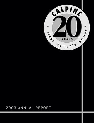 2003 ANNUAL REPORT
 