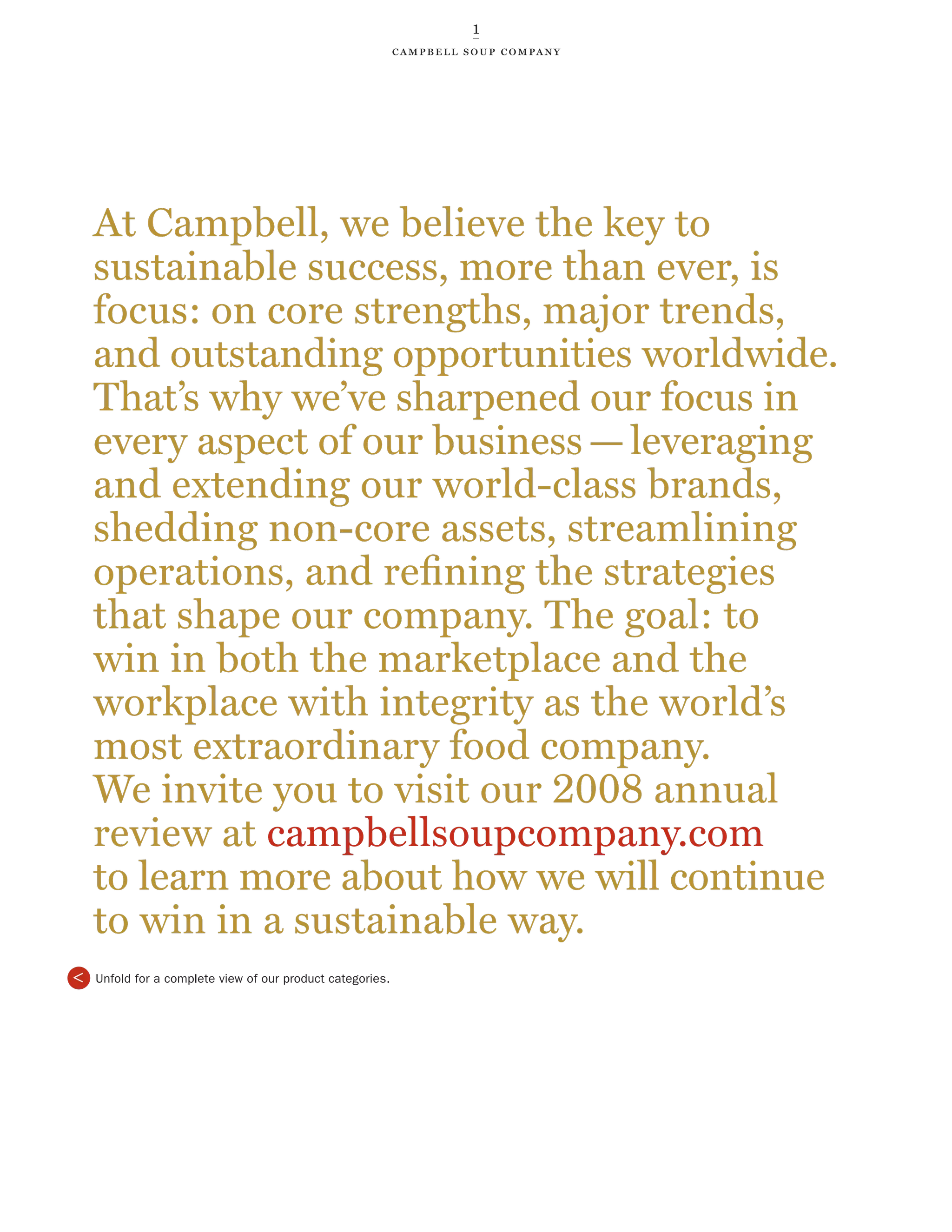 campbell soup annual reports 2008 PDF