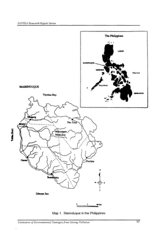 Estimation of Environmental Damages from Mining Pollution: The Marinduque Island Mining Accident 