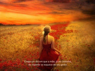 Chega um dia em que a mão, já no caminho,
   de repente se esquece do seu gesto.
 