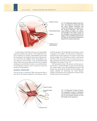 Surgical Anatomy And Techniques To The Spine Daniel H Kim Jeffrey Henn ...