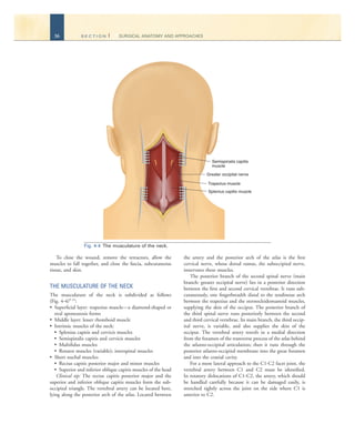 Surgical Anatomy And Techniques To The Spine Daniel H Kim Jeffrey Henn ...