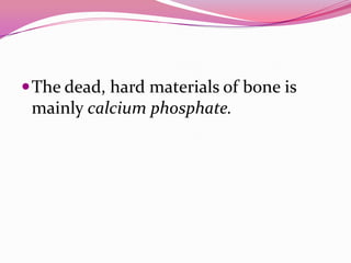 The dead, hard materials of bone is
mainly calcium phosphate.
 