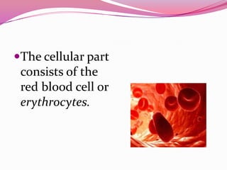 The cellular part
consists of the
red blood cell or
erythrocytes.
 