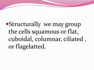 Structurally we may group
the cells squamous or flat,
cuboidal, columnar, ciliated ,
or flagelatted.
 