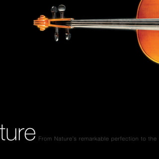 MGMM_2006_Annual_Report