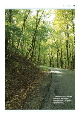 ChesapeakeEnergy07ARFINAL