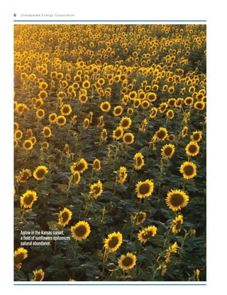 ChesapeakeEnergy07ARFINAL