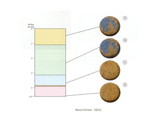 Nuno Correia - 10/11
 