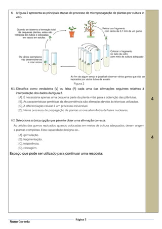 6.    A figura 2 apresenta as principais etapas do processo de micropopagação de plantas por cultura in
      vitro.




                                                    Figura 2
6.1. Classifica como verdadeira (V) ou falsa (F) cada uma das afirmações seguintes relativas à
      interpretação dos dados da figura 2.
        [A]. É necessária apenas uma pequena parte da planta-mãe para a obtenção das plântulas.
                                                                                                          4
        [B]. As características genéticas da descendência são alteradas devido às técnicas utilizadas.
        [C]. A diferenciação celular é um processo irreversível.
        [D]. Neste processo de propagação de plantas ocorre alternância de fases nucleares.


6.2. Selecciona a única opção que permite obter uma afirmação correcta.
     As células dos gomos repicados, quando colocadas em meios de cultura adequados, deram origem
     a plantas completas. Esta capacidade designa-se...
        [A]. gemulação.
        [B]. fragmentação.
                                                                                                          4
        [C]. totipotência.
        [D]. clonagem.

Espaço que pode ser utilizado para continuar uma resposta:




                                                      Página 5
Nuno Correia
 