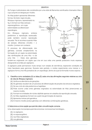 GRUPO III
  Os Fungos multicelulares são constituídos por uma rede de filamentos ramificados chamados hifas e
  cujo conjunto se designa por micélio.
  As hifas podem apresentar diferentes
  formas. No bolor negro do pão,
  Rhizopus nigricans, representado na
  fig. 3, formam-se hifas verticais -
  esporangióforos - em cujas
  extremidades se diferenciam
  esporângios.
  Em      Rhizopus      nigricans,   embora
  predomine a reprodução assexuada,
  pode     também       ocorrer   reprodução
  sexuada. Tal só acontece quando hifas
  de estirpes diferentes (micélio + e
  micélio ) entram em contacto.
  O    processo    de    diferenciação   dos
  gâmetas, consiste simplesmente na
  formação de um septo na extremidade
  das ramificações de uma hifa + e de
  uma hifa         . Estes dois gâmetas
  fundem-se originando um zigoto que cria em sua volta uma parede protectora muito espessa,
  designando-se então por zigósporo.
  O zigósporo pode permanecer muito tempo num estado de dormência, esperando condições do
  meio favoráveis para germinar. Durante este período, o núcleo experimenta uma meiose e o
  zigósporo forma uma hifa portadora de um esporângio, dentro do qual se formarão muitos esporos.


  1.   Classifica como verdadeira (V) ou falsa (F) cada uma das afirmações seguintes relativas ao ciclo
       de vida de Rhizopus nigricans.
       [A]. Verifica-se alternância de gerações.
       [B]. Os gâmetas resultam de um processo de diferenciação de porções da estrutura vegetativa.
                                                                                                          10
       [C]. No seu ciclo de vida predomina a haplofase.
       [D]. Pode ocorrer união entre gâmetas originados na extremidade de hifas pertencentes ao
           mesmo micélio.
       [E]. Formam-se entidades de núcleo diplóide apenas em estadios da reprodução sexuada.
       [F]. As hifas vegetativas formam-se a partir da germinação de esporos.
       [G]. Apresenta meiose pré-gamética.
       [H]. O mesmo micélio produz gâmetas com diferentes combinações genéticas.


  2, Selecciona a única opção que permite obter uma afirmação correcta.
  Uma observação microscópica permite encontrar cromossomas homólogos...                                  4
       [A]. no zigósporo.
       [B]. no esporangióforo.
       [C]. nas hifas vegetativas.
       [D]. nos gâmetas.


                                                     Página 6
Nuno Correia
 