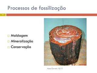 Processos de fossilização
11




        Moldagem
        Mineralização
        Conservação




                         Nuno Correia 10/11
 