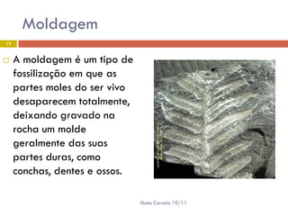 Moldagem
12


    A moldagem é um tipo de
     fossilização em que as
     partes moles do ser vivo
     desaparecem totalmente,
     deixando gravado na
     rocha um molde
     geralmente das suas
     partes duras, como
     conchas, dentes e ossos.

                                Nuno Correia 10/11
 